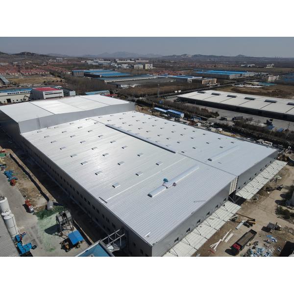 Earthquake Resistant Q355 Industrial Steel Building Metal Warehouse Building Construction