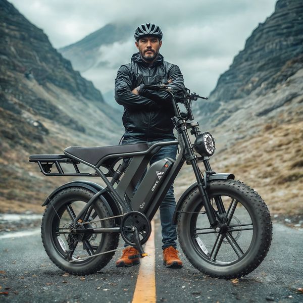 Manufacturer New Style 750w 48v 15Ah Disc Brake 20'' Fat Tire Electric Bike Wholesale Off Road Mountain City Electric Bicycle