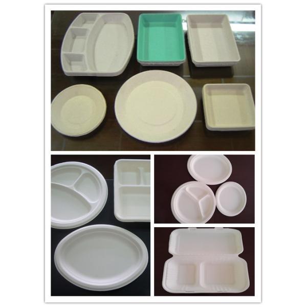 Sugarcane Use Paper Pulp Moulding Machine ,  Plate Thermoforming Machine  30kw