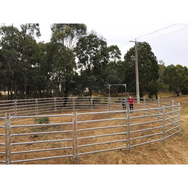 Heavy Duty 25pcs Bundle Heavy Duty Used Cattle Yards For Sale & Gate for Au