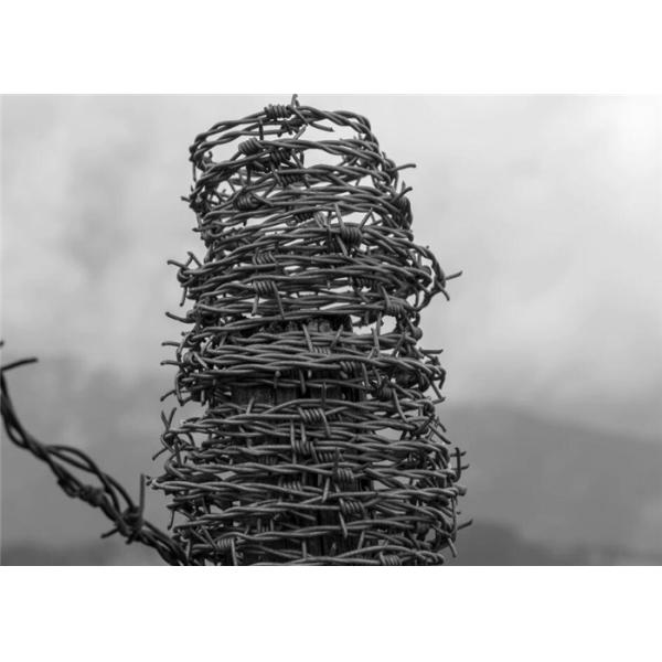 Electro Galvanized Security Barbed Wire Fence Residential Barbs Distance 7.5-15cm