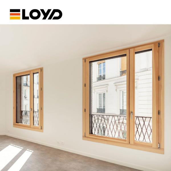 Single Glazed Bronze 6063 Aluminium Casement Window Replacement With Mosquito Net