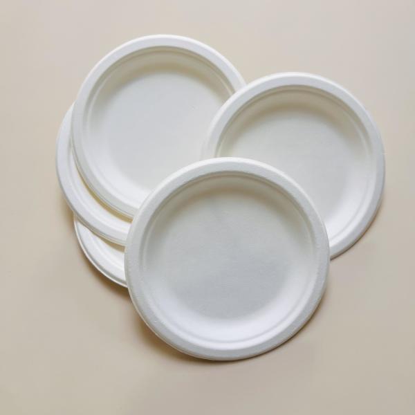 6 Inch Round Disposable Paper Plate Sugarcane Pulp Paper Party Plate Compostable 100% Biodegradable Bagasse Plates