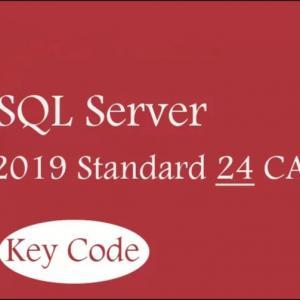 Cheap 2019 24 CALs  Windows SQL Server , Standard Sql Express Windows Server 2019 for sale