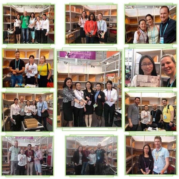 Shenzhen Minshunlong Trading Co., Ltd