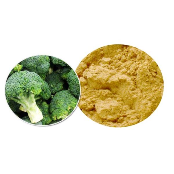 Brown Yellow Powder 100% Pure Plant Extracts , Organic Broccoli Sprout Powder ISO9001
