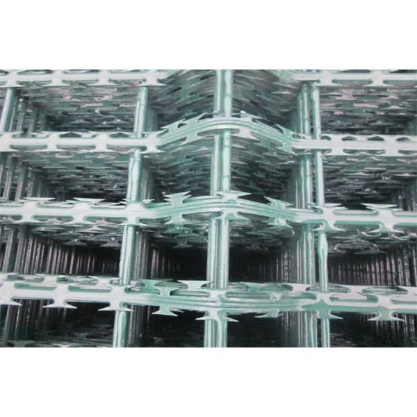 Hot Dip Galvanized Concertina Razor Bladed Barbed Wire Mesh Fences For Market