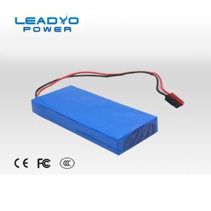 China 24V 10Ah Lithium Ion Iron Phosphate Battery Customized With RS485 on sale