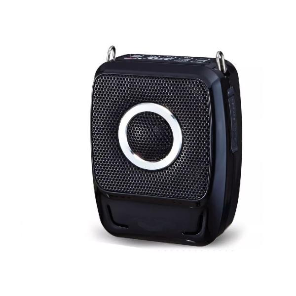 Mini Sound Amplifier Box Powerful Portable Speakers For MP3 Player With Wireless Microphone