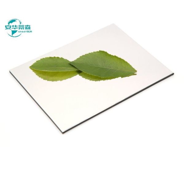 2440mm Length Mirror ACP 1220mm Width For Long Lasting Durability Solutions