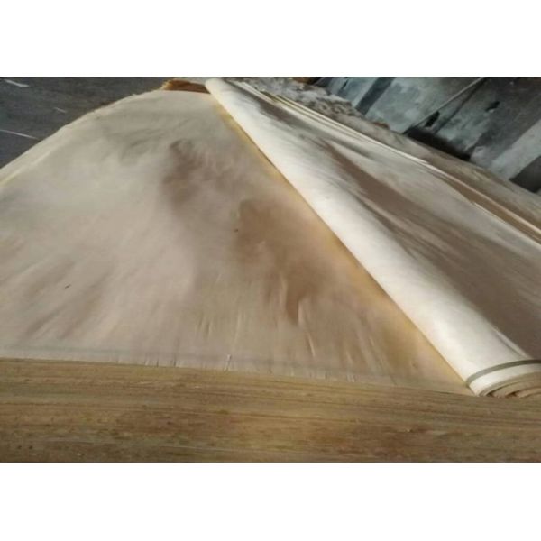 A Grade Rotary Cut White Birch Wood Veneer Sheets 0.18mm 0.22mm