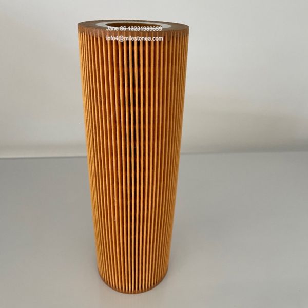 Truck Oil Filter Element 2022275 2037556 HU1077/1X E123HD194 LF17486