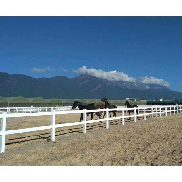 Safety White Vinyl Fence Heavy Duty 2 Rail Horse PVC Farm Fence