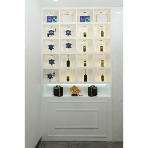 Shenzhen YuanTe Technology Co., Ltd. (Safegas)