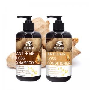 China Hair Shampoo Hair Hair Conditioner Shampoo Hair Care Products 100% Pure Natural Hair Shampoo Anti-hair Loss Ginger Shamp on sale