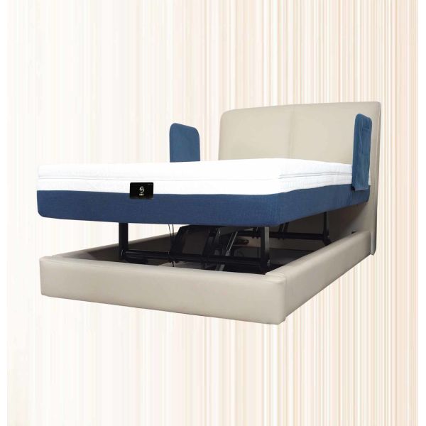 Electric Lift Bed Intelligent Bed Multifunctional Home Care Bed Automatic Removable Assisted Standing Backrest E200H