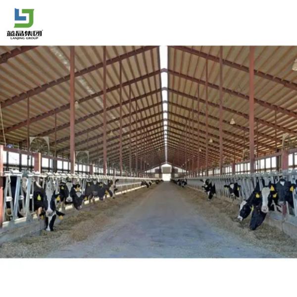 Hot Sale Prefabricated Light Structure Structure Prefab Poultry House Design Chickens Farm Cow Barn Shed Broiler Layer