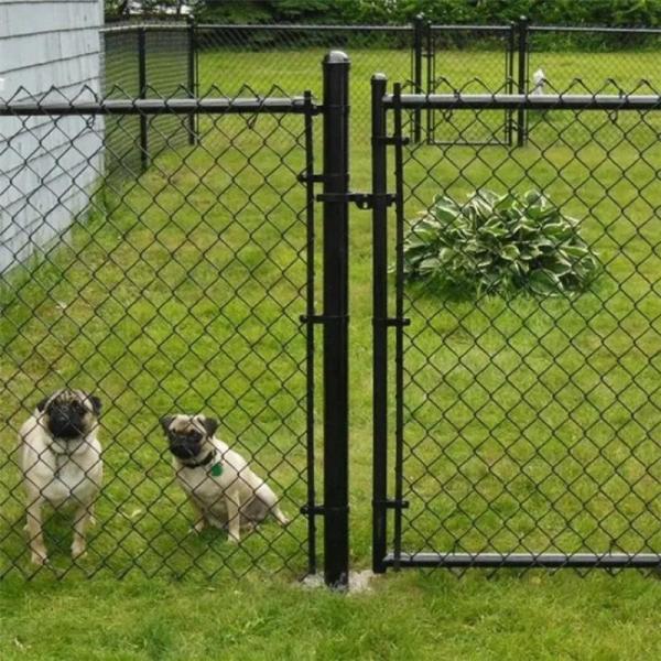 Galvanized Used Chain Link Fence Factory Wholesale  Metal Iron Pvc Coated in Stock Garden Fence