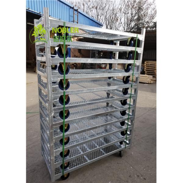 Pull Net Shelf Danish Flower Trolley Cart for Greenhouse , Dutch Trolley Shelves