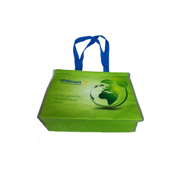Freuni OEM Production SGS, Sedex Approved PP Non Wove cooler bag with Logo Wholesale