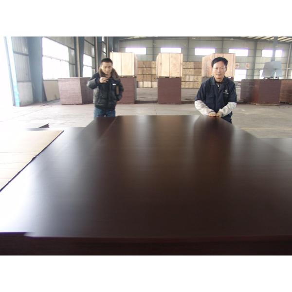 Shandong Linyi factory price 18mm melamine plywood film faced plywood poplar/ low price birch plywood
