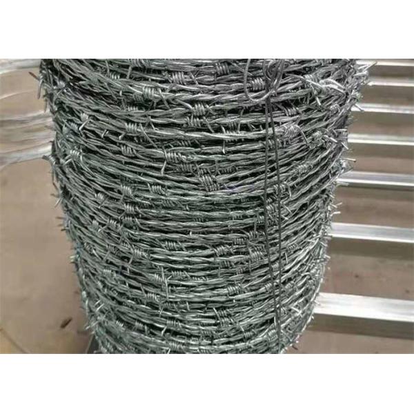 Anti Corrosion Galvanized Razor Mesh Fence 75X150mm Barbed Wire Mesh Fencing