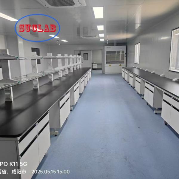 Custom Size Chemistry Lab Bench Lab Furniture Factory For Research Laboratory Producting