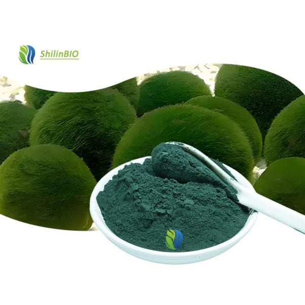 Pure Chlorella Powder