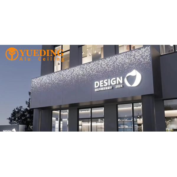 Exterior Building Perforated Aluminium Curtain Wall Panels Carved