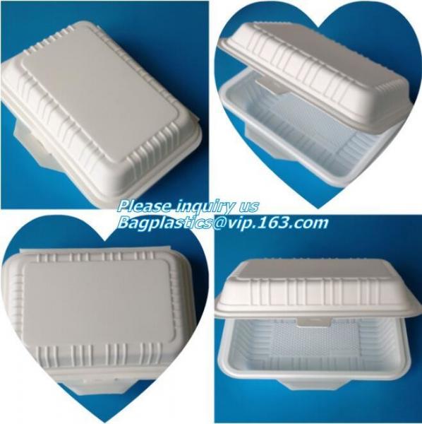 Plastic Food Storage Boxes with Handles Food Crisper Food Storage Bins Organizer Refrigerator Storage Container bagease