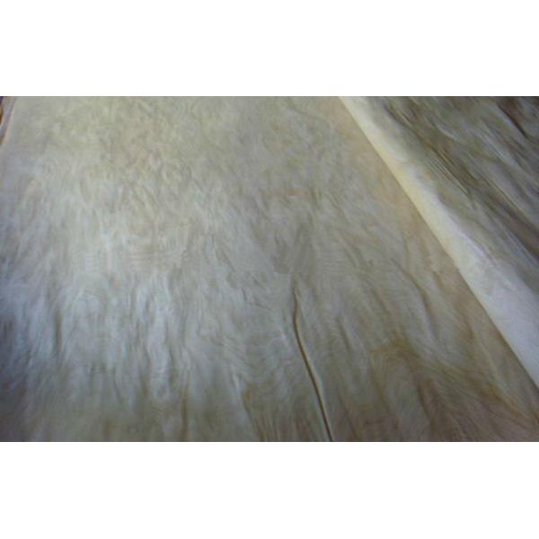 Natural Milk White Rotary Cut Veneer Maple Materials For Plywood