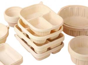 Cheap Thin Wall Compostable Disposable Food Container Making Machine Manufacturers for sale