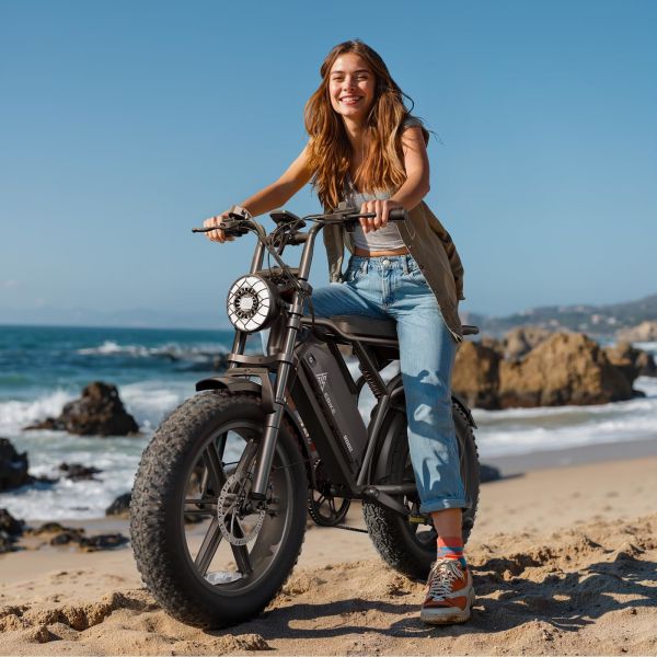 20 Inch Fat Tire Ebike High Power Motor 7 Speed High Speed Bike V8 V20 Fat Electric Bicycle with Rear Rack