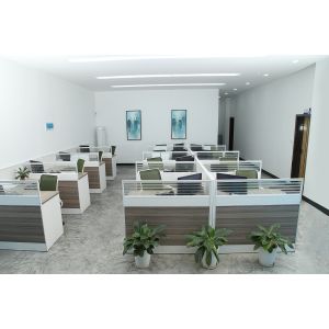 Shenzhen YuanTe Technology Co., Ltd. (Safegas)