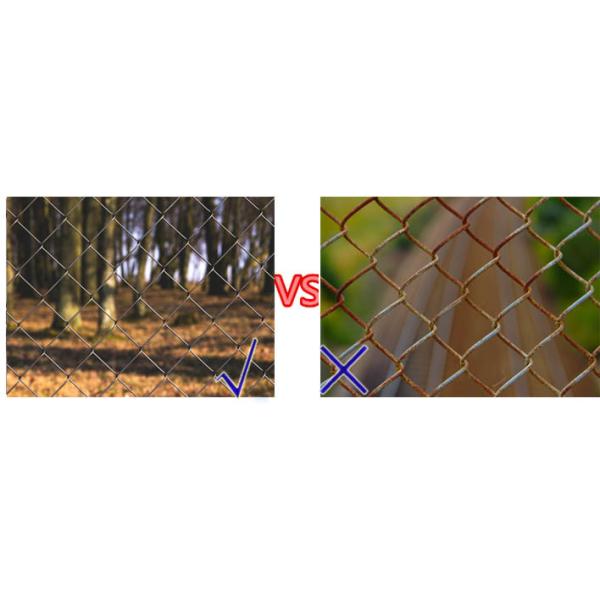 Hot Dipped Galvanized Black Chain Link Fence Cost 1.53m*10m*65mm*65mm*2.5mm