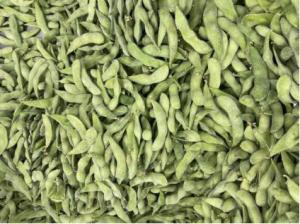 Cheap HALAL Certified High Protein Frozen Edamame Beans for sale