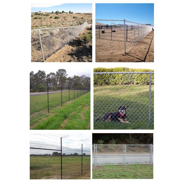 Hot Dipped Galvanized Black Chain Link Fence Cost 1.53m*10m*65mm*65mm*2.5mm