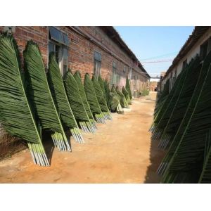 UVG Technology Co.,Ltd
