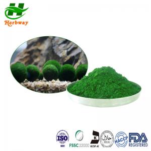 Cheap Food Grade Chlorella Extract Powder , Green Chlorella Vulgaris Powder for sale