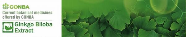 Pure Ginkgo Herbal Extracts For Cerebral And Microcirculation Improvement
