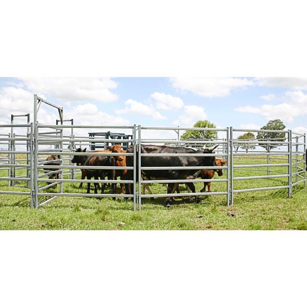 From Budget Cattle Panels To Extra Heavy Duty Portable Corral Panels For Cattle