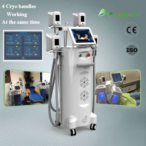 cryolipolysis slimming machine