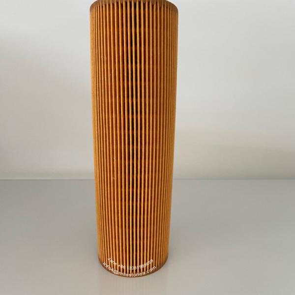 Truck Oil Filter Element 2022275 2037556 HU1077/1X E123HD194 LF17486