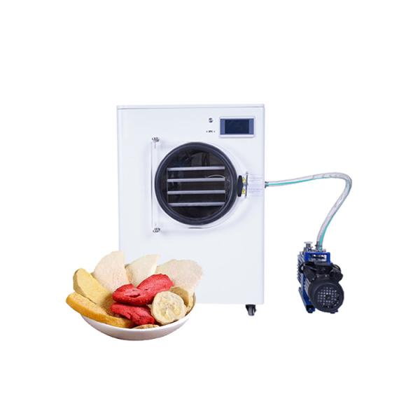 Electric Heating Low Cost Freeze Dryer Pet Kitchen