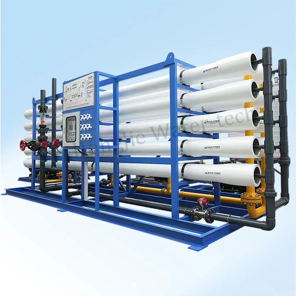 10LPS 1000TPD Modular Sea Water Desalination Plant Reverse Osmosis System for High-Efficiency Water Treatment