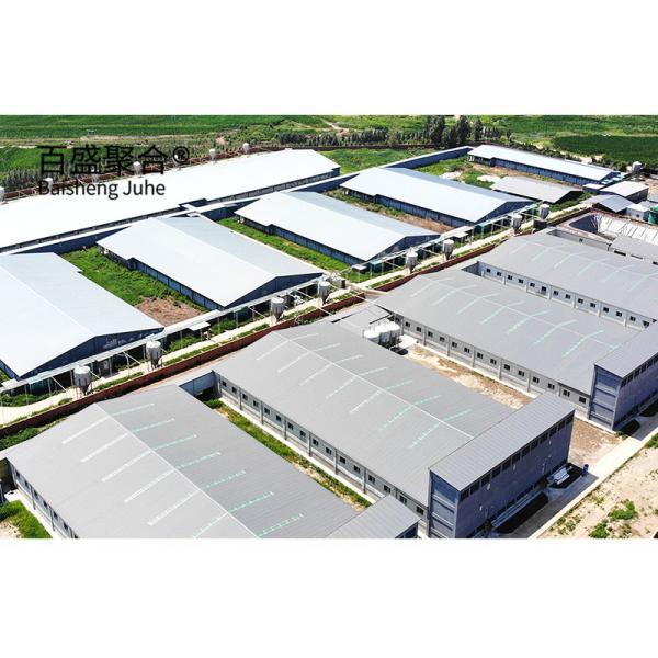 ISO9001 2008/CE/BV Certified Pig Farming Business Plan for Customized Cages and Pen