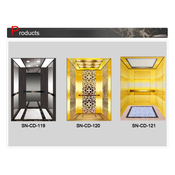 Stainless Steel Frame Cabin With Acrylic Lighting Panel For Passenger Elevator Lift