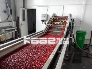 China Industrial Dates Processing Machinery Dates Drying Machine 20t/Hr on sale