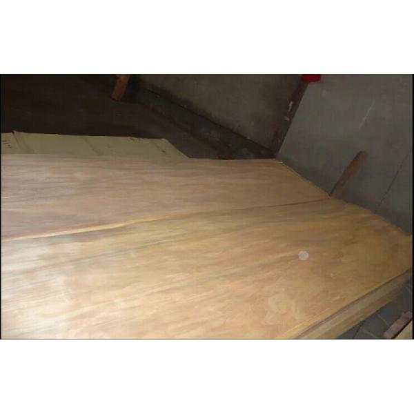 Nature Rotary Cut Birch Veneer Sheet A grade , Natural Wood Veneer