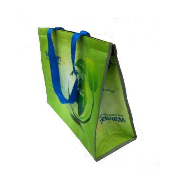 Freuni OEM Production SGS, Sedex Approved PP Non Wove cooler bag with Logo Wholesale